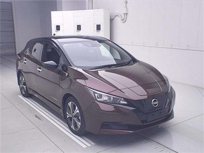 2021 Nissan Leaf - Thumbnail
