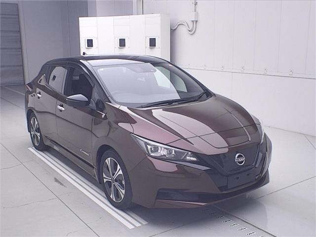 2021 Nissan Leaf