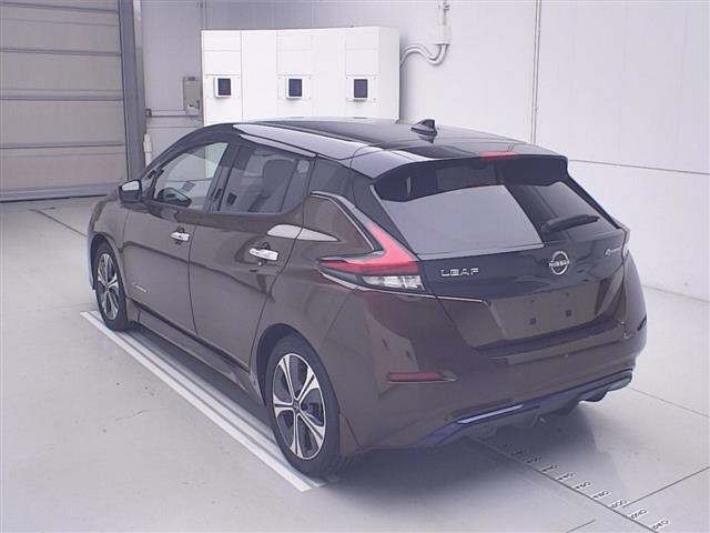 2021 Nissan Leaf