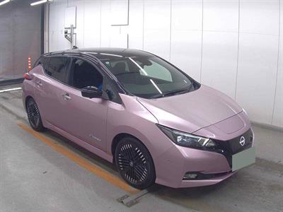 2022 Nissan Leaf - Thumbnail