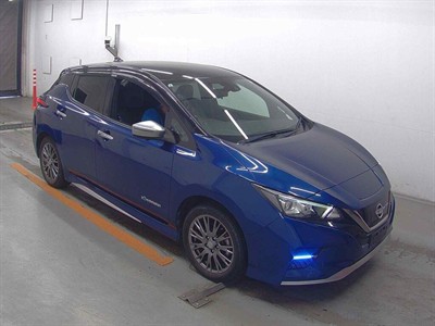 2021 Nissan Leaf