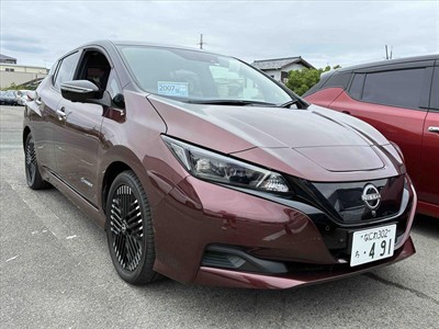 2022 Nissan Leaf - Thumbnail