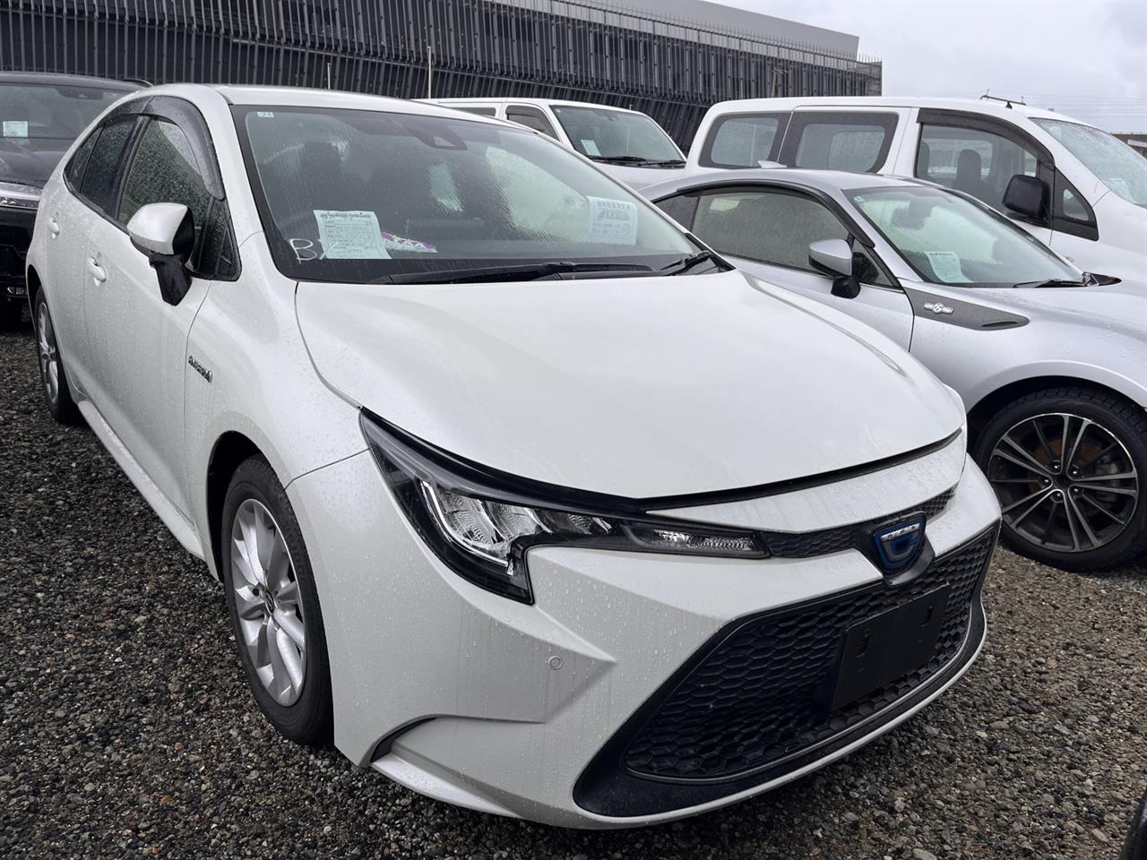 2019 Toyota Corolla