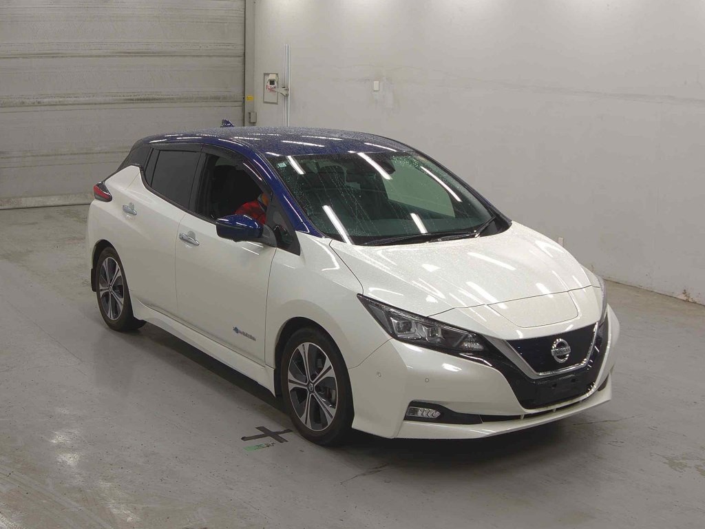 2020 Nissan Leaf