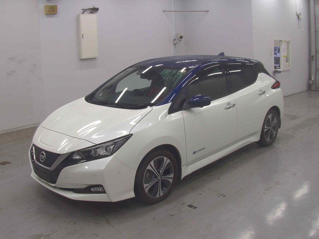 2020 Nissan Leaf