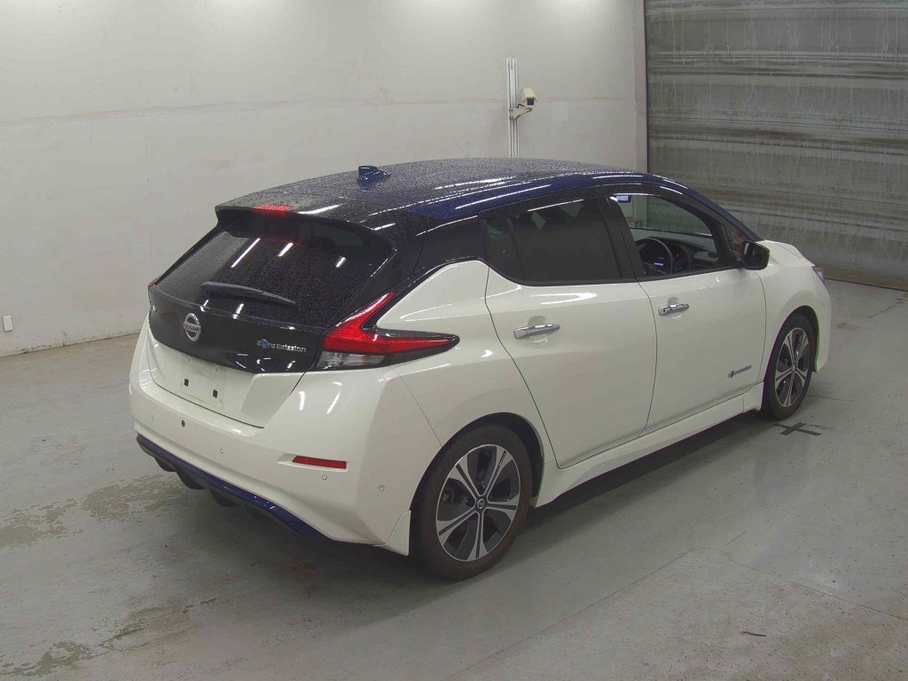 2020 Nissan Leaf