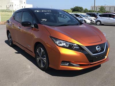 2021 Nissan Leaf - Thumbnail