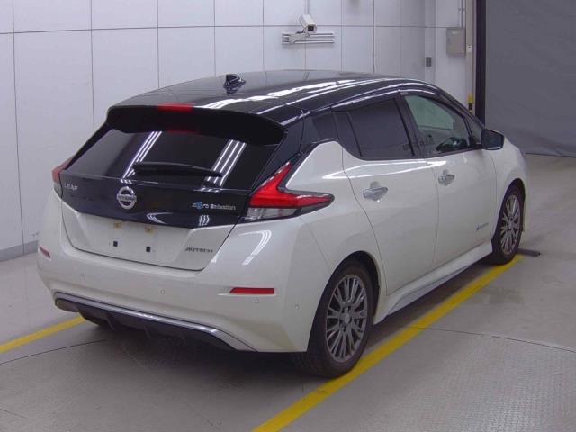 2020 Nissan Leaf