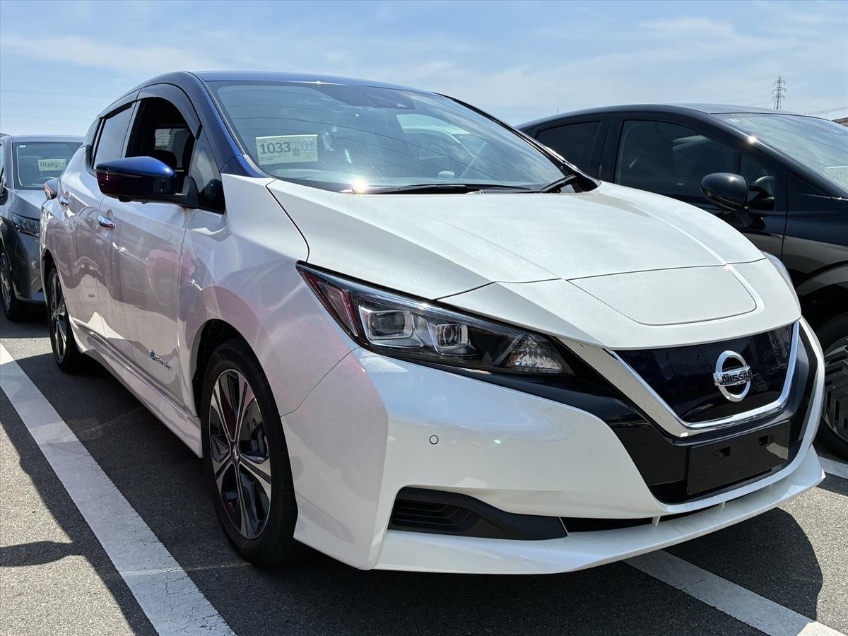2021 Nissan Leaf