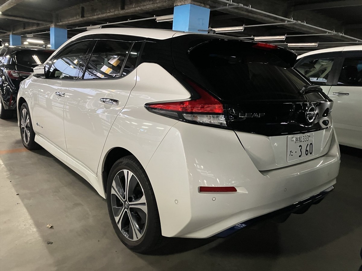 2019 Nissan Leaf