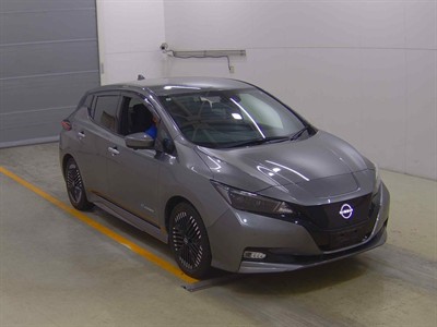 2022 Nissan Leaf - Thumbnail