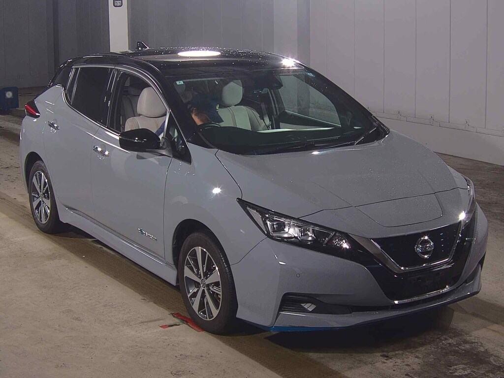 2020 Nissan Leaf