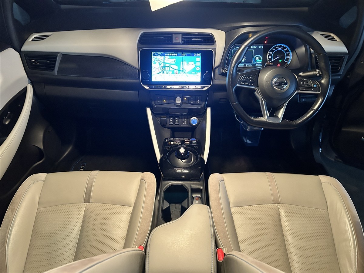 2020 Nissan Leaf