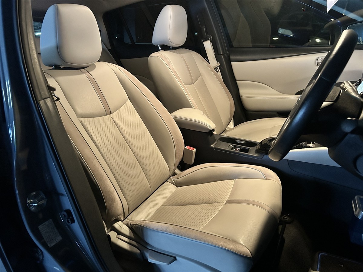 2020 Nissan Leaf