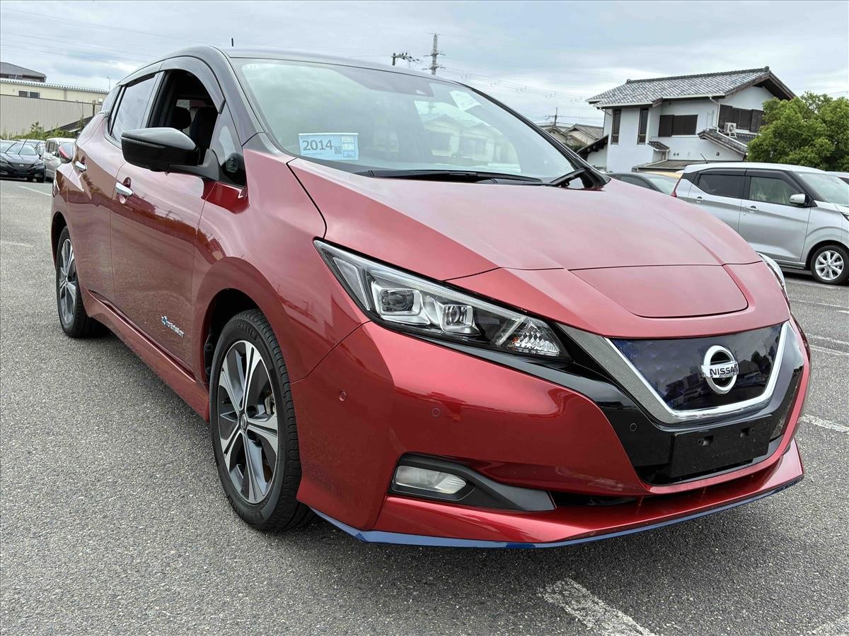 2019 Nissan Leaf