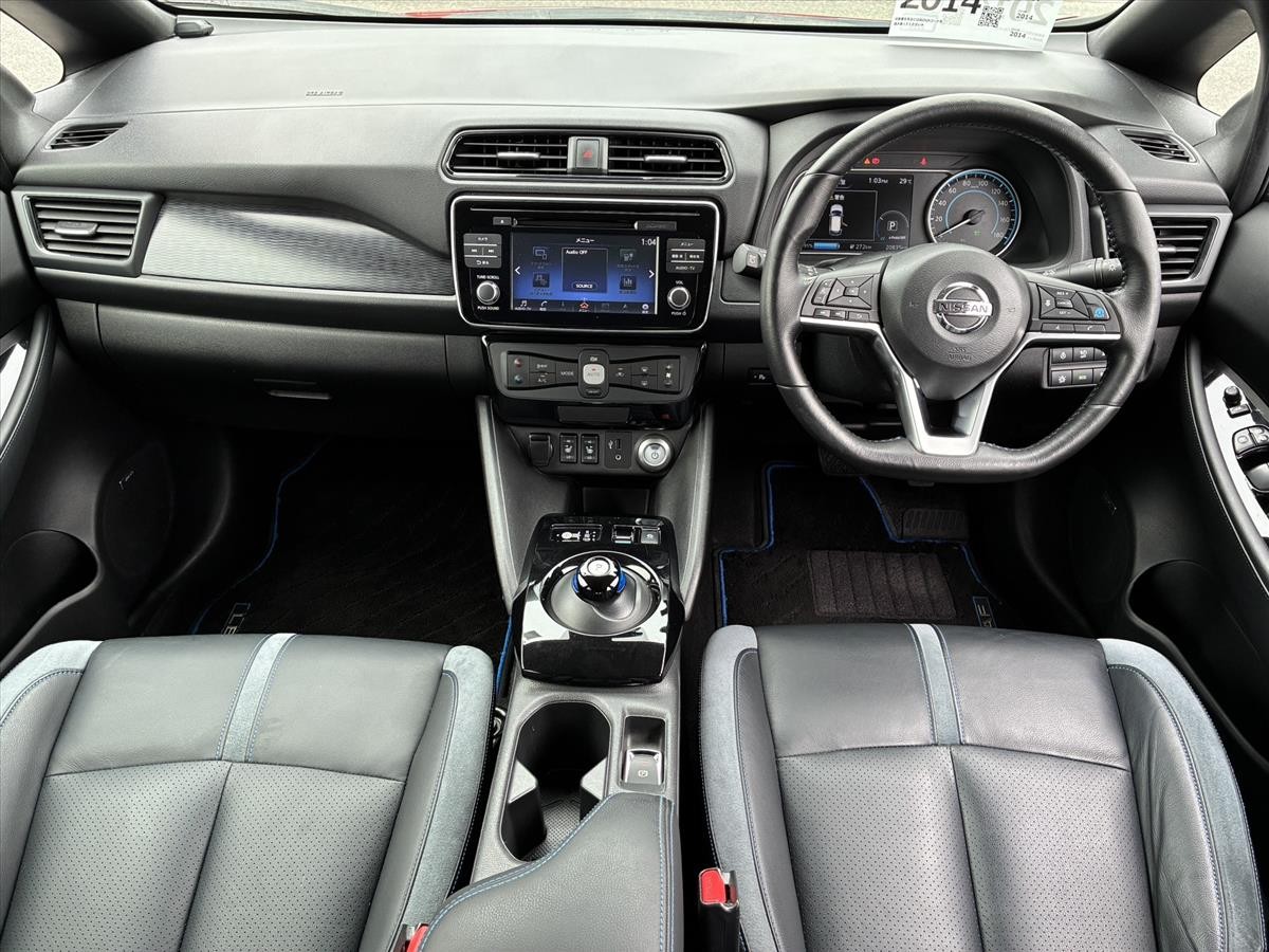 2019 Nissan Leaf