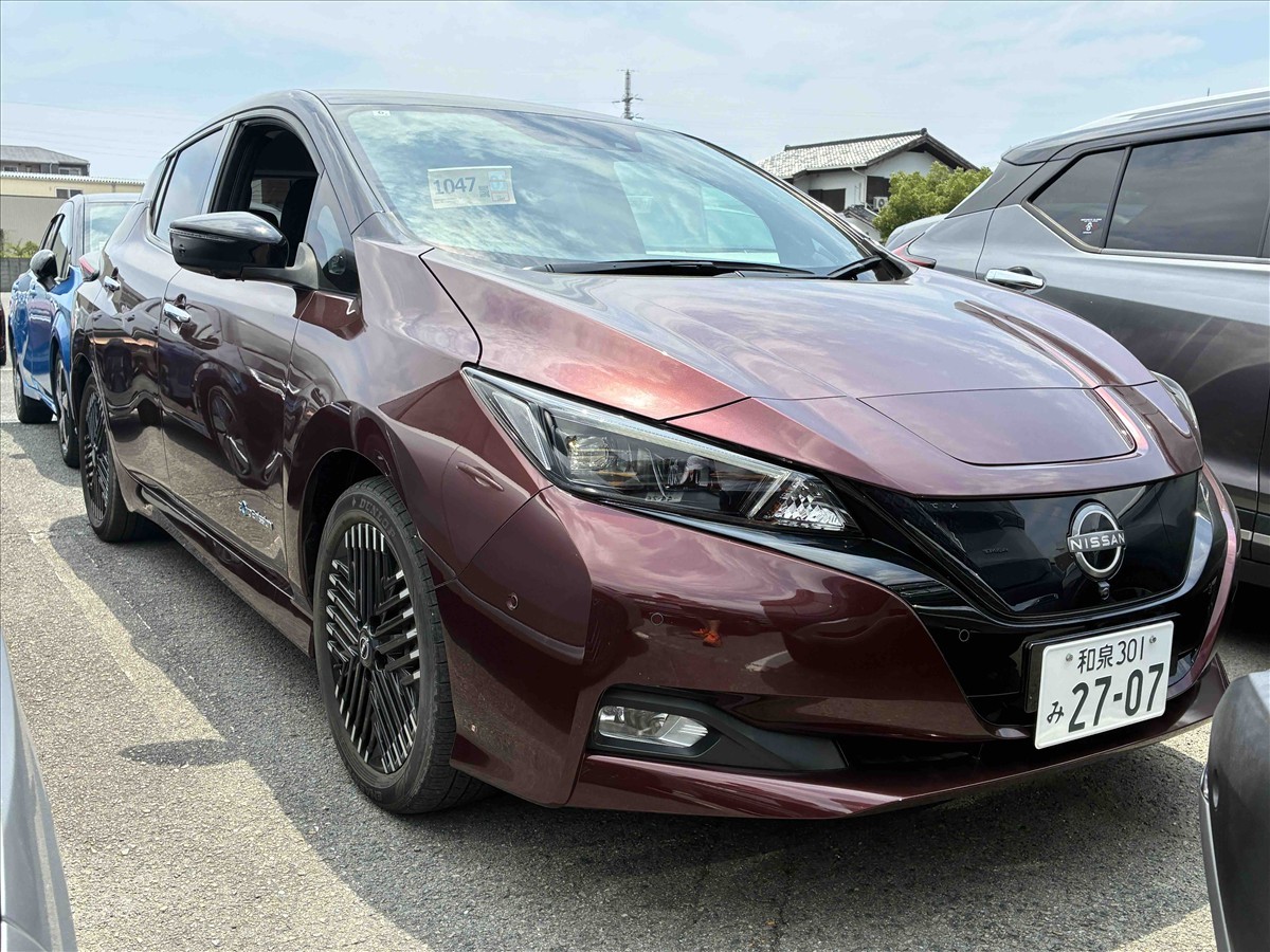 2022 Nissan Leaf