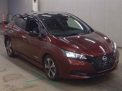2021 Nissan Leaf - Thumbnail
