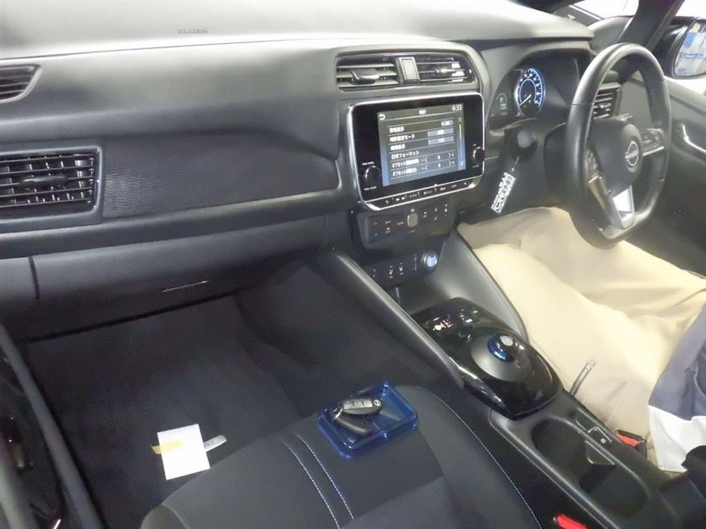 2021 Nissan Leaf
