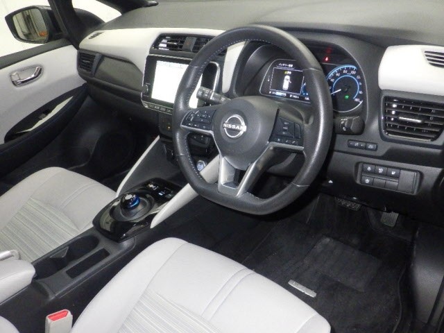 2022 Nissan Leaf