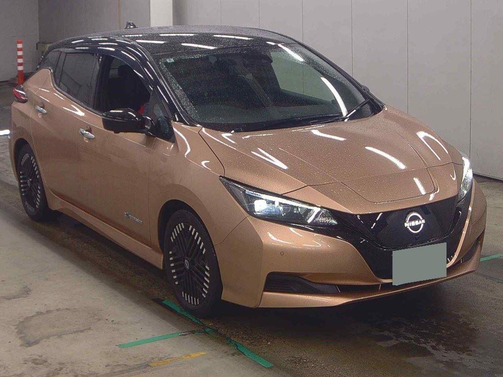 2022 Nissan Leaf