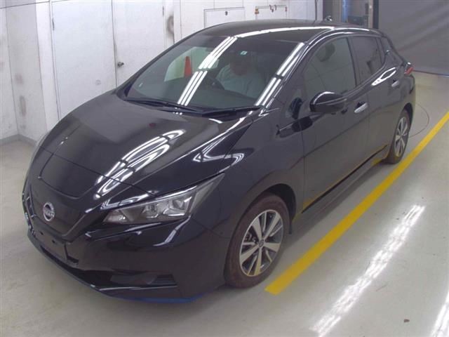 2021 Nissan Leaf