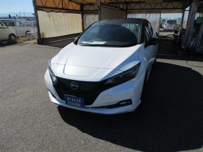 2022 Nissan Leaf - Thumbnail