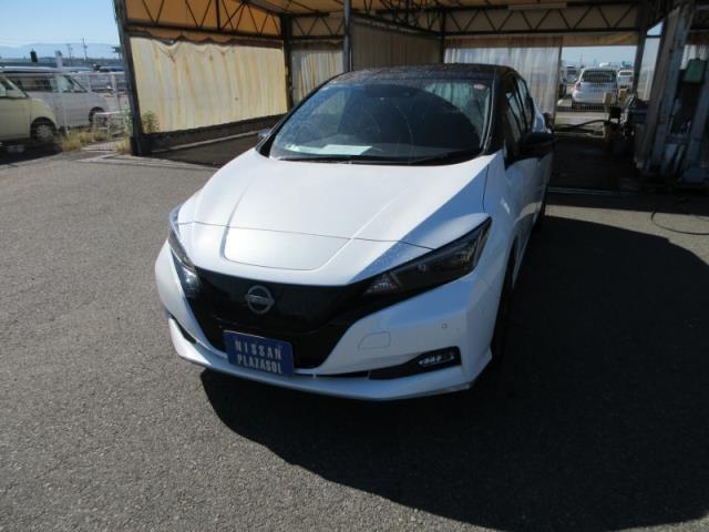 2022 Nissan Leaf