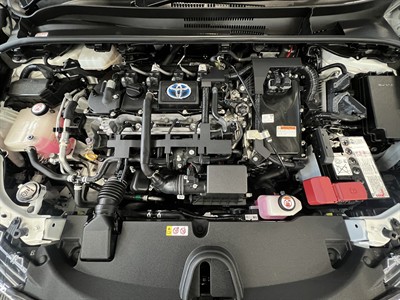 2019 Toyota Corolla - Thumbnail