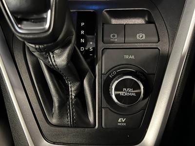 2019 Toyota RAV4 - Thumbnail