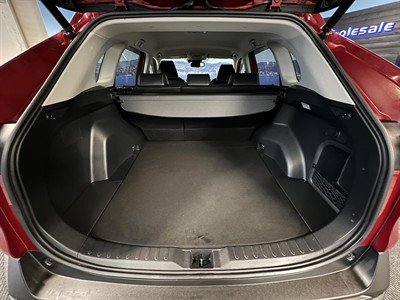 2019 Toyota RAV4 - Thumbnail