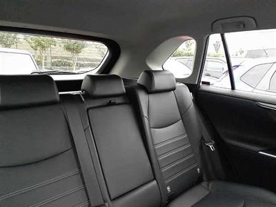 2019 Toyota RAV4 - Thumbnail