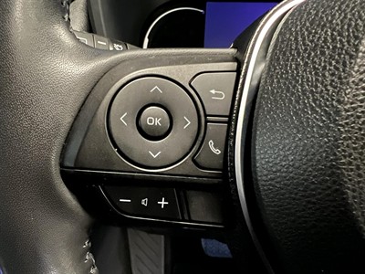 2019 Toyota RAV4 - Thumbnail