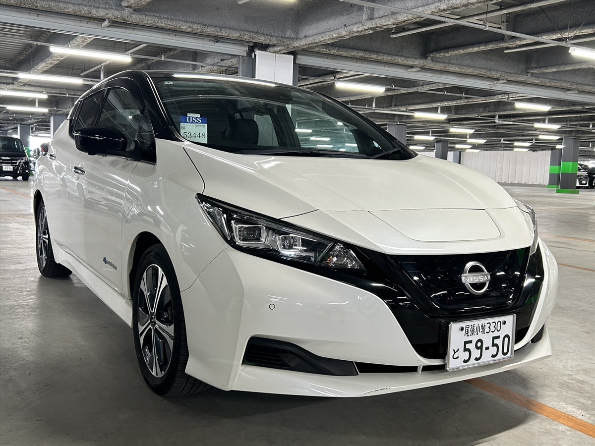 2022 Nissan Leaf