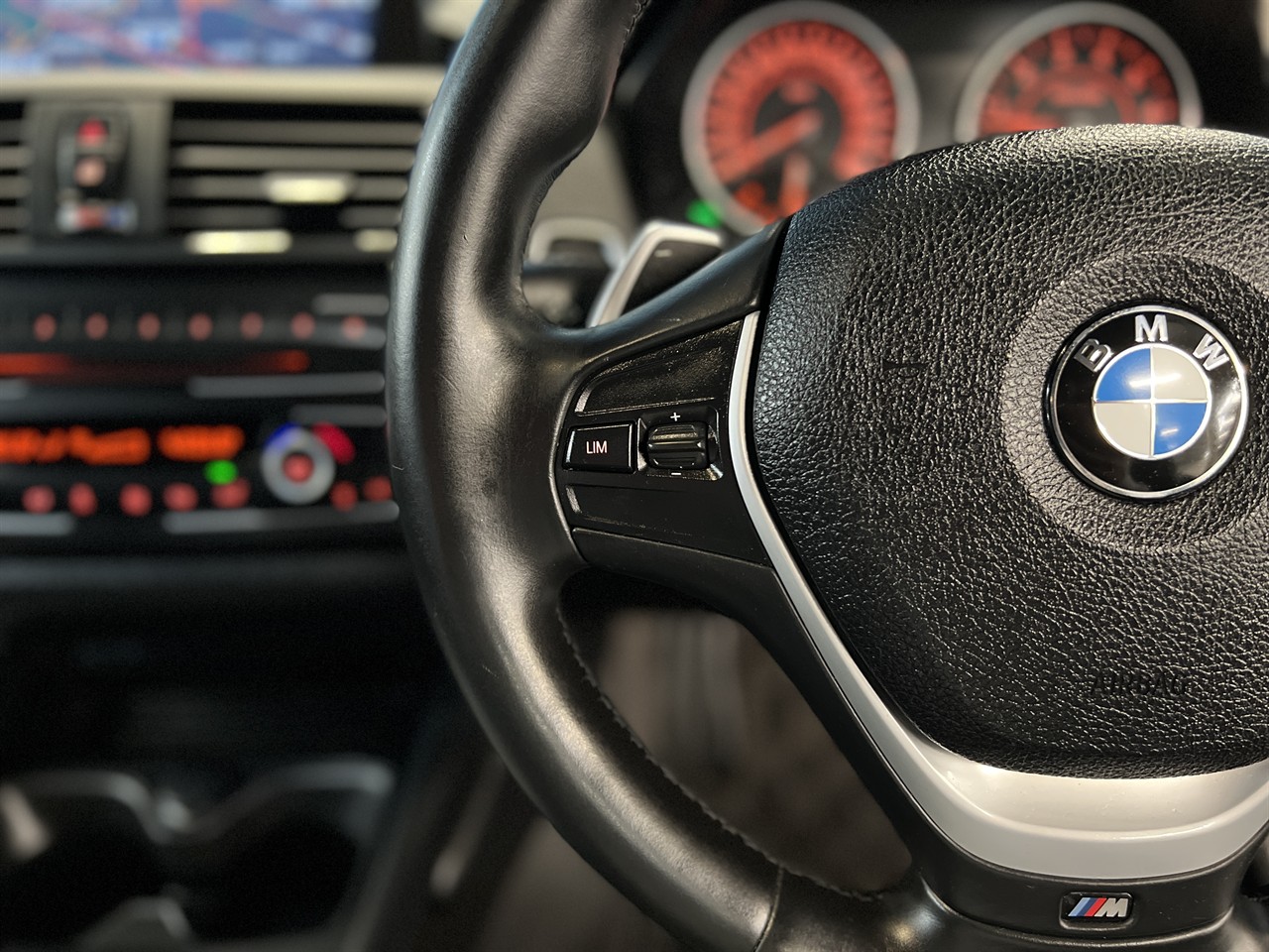 2013 BMW M135i