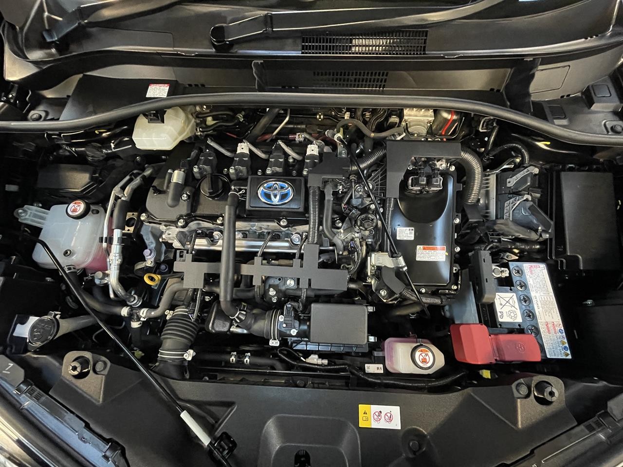 2019 Toyota C-HR