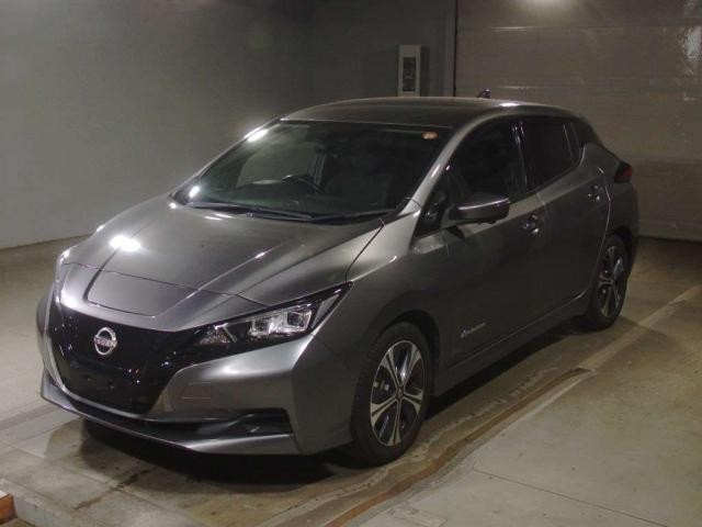 2021 Nissan Leaf