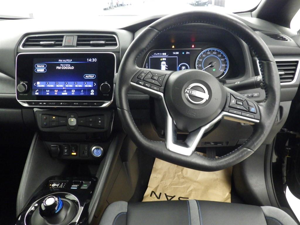 2021 Nissan Leaf