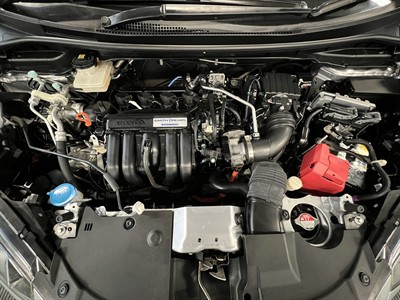 2019 Honda Shuttle - Thumbnail