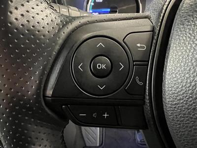 2019 Toyota RAV4 - Thumbnail